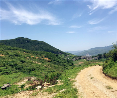 過(guo)渡期