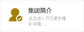 集(ji)團(tuán)簡介